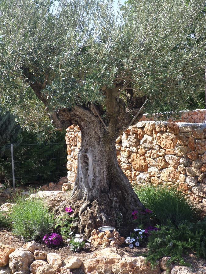 Le Clos Des Cambres Les Arcs-sur-Argens エクステリア 写真